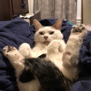 Meet your Posher, Kristen